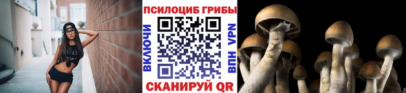 Псилоцибиновые грибы прущие грибы  Гусев 
